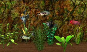 Fish Farm screenshot 1