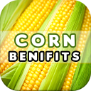 Corn Benefits