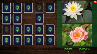 All Vegetals Pairs Memory Game screenshot 23