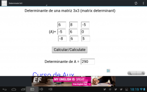 Determinante einer 3x3-Matrix screenshot 1