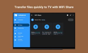 Файловий менеджер Wifi USB TV screenshot 14