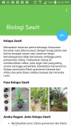 Kunci Berkebun Sawit screenshot 1