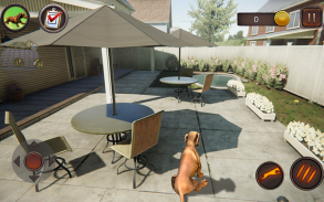 Dachshund Dog Simulator screenshot 21