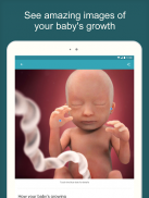 Pregnancy Tracker + Countdown to Baby Due Date screenshot 1