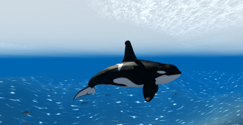 Orca Whale Simulator 3D screenshot 5