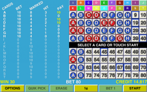 Keno 20 MultiCard Vegas Casino screenshot 4