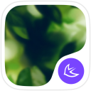 Natural-APUS Launcher theme Icon