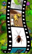 Sons D'animaux (Vivre & Actif 3D) Pour Les Enfants screenshot 4