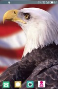 Bald Eagle Wallpaper screenshot 0