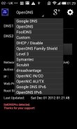 Set DNS screenshot 2