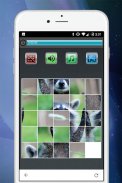 Slider Mania Animals Pro (Puzzles) screenshot 6