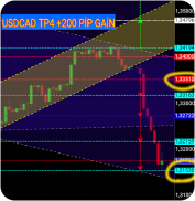 Daily Forex Analysis screenshot 4