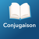 Conjugaison Icon