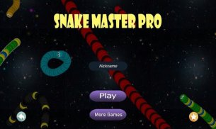 Snake Master Pro screenshot 0