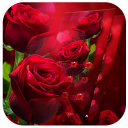 AppLock Theme Red Rose