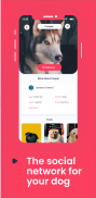 MatchDog - Playdates and friends for your pup screenshot 0