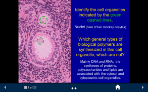 Histology Complete- SecondLook screenshot 1