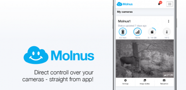 Molnus screenshot 2
