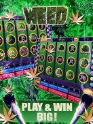 Lucky Weed - Machines à sous screenshot 2