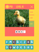 Picture Quiz- Learning English screenshot 6