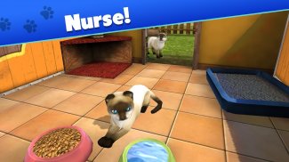 Pet World: My Animal Shelter screenshot 11