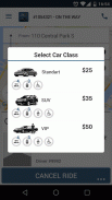 Big Q Car Service screenshot 3