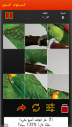 لعبة ترتيب الصور screenshot 3