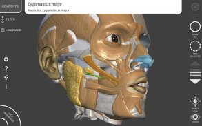 3D Anatomy for the Artist screenshot 13