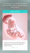Pregnancy App & Baby Tracker screenshot 1