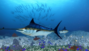 The Blue Marlin screenshot 0