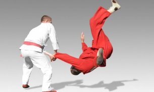 Judo techniques screenshot 1