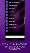 Bells and Whistles Ringtones screenshot 6