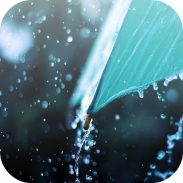 Rain Live Wallpaper screenshot 0