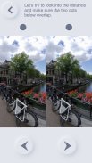 Stereogram Vision Training screenshot 0