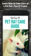 How to Take Care of a Pet Rat (Guide) screenshot 0