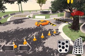 350Z Parking Test Simulator screenshot 4