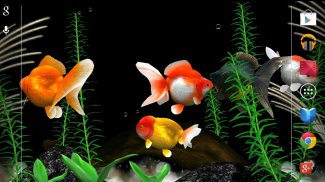 Gold Fish 3D free LWP screenshot 1