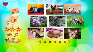 Kittens Puzzles screenshot 4