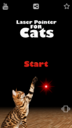 Laser Pointer for Cat screenshot 2