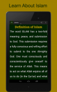 Introduction to Islam screenshot 8