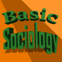 Basic Sociology Icon