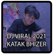 Dj Tik Tok Katak Bhizer Offline screenshot 0