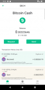 Badger Wallet screenshot 2