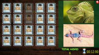 All Animals Pairs Memory Game screenshot 5