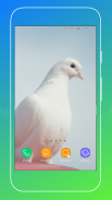 Pigeon Wallpaper screenshot 10