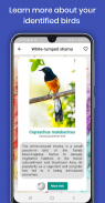 Bird Identifier Pro - Photo Bird Identification screenshot 5