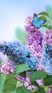 Spring Flowers Live Wallpaper screenshot 5