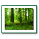 Forest Conservation Act 1980 Icon