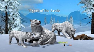 Tigers of the Arctic screenshot 0