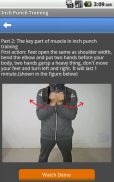 Inch Punch Training screenshot 3